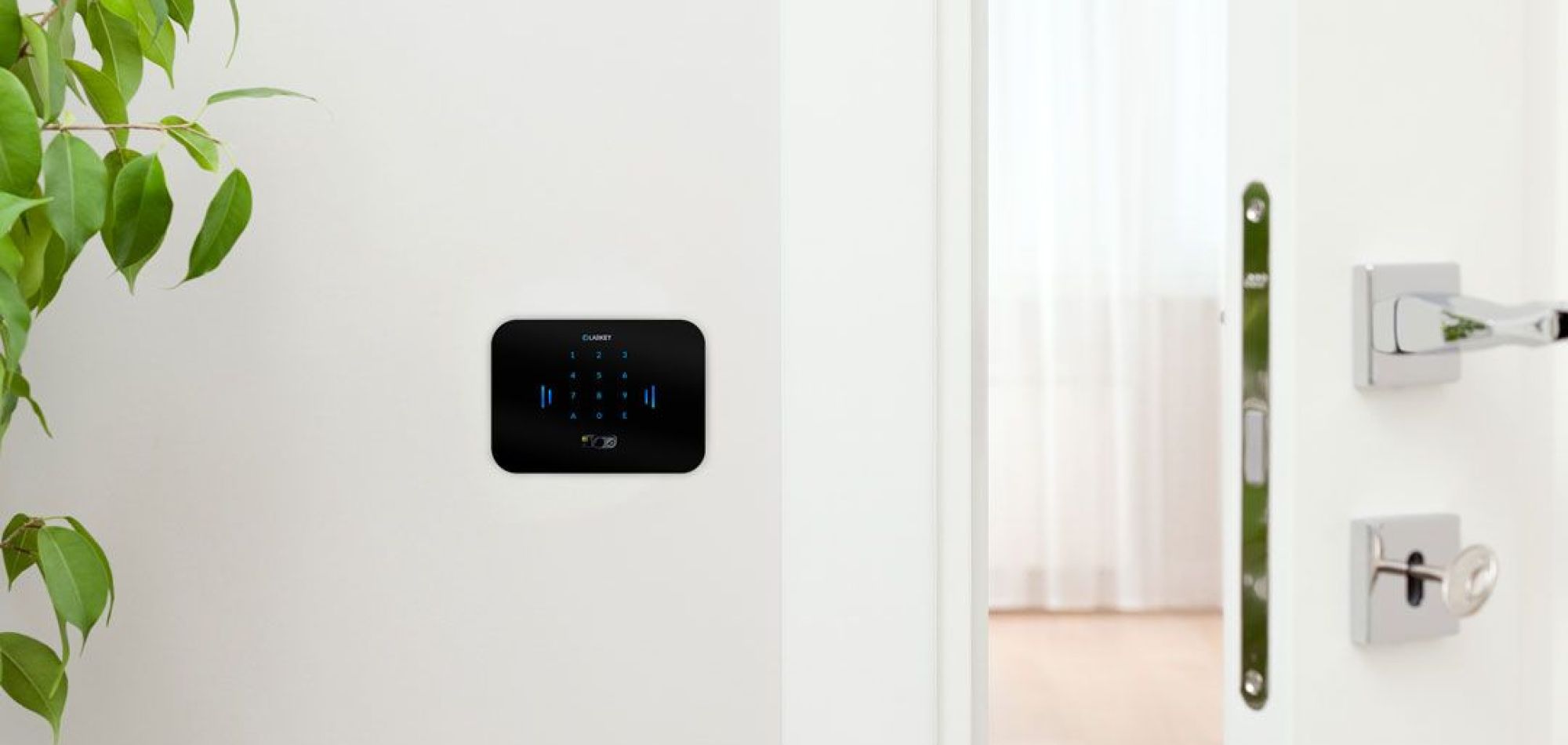 labkey glass tastierino