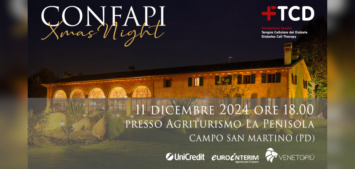 Confapi Xmas Night 2024